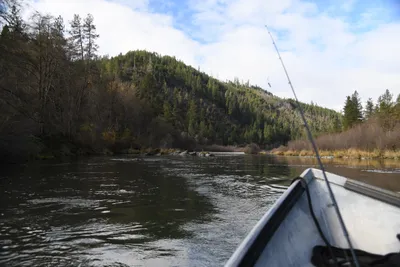 DSC_0220 (Large).JPG